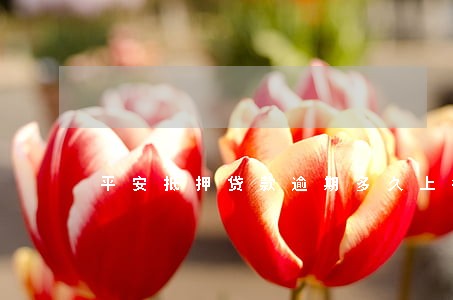 平安抵押贷款逾期多久上征信 平安抵押贷款逾期多久上征信