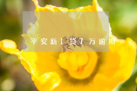 平安新1贷7万逾期 平安新1贷7万逾期