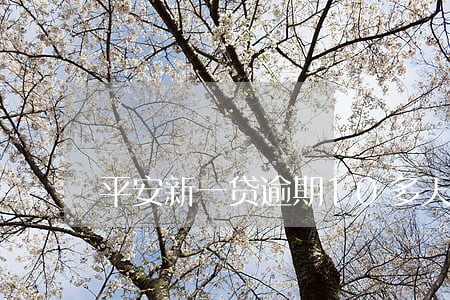 平安新一贷逾期10多天 平安新一贷逾期10多天