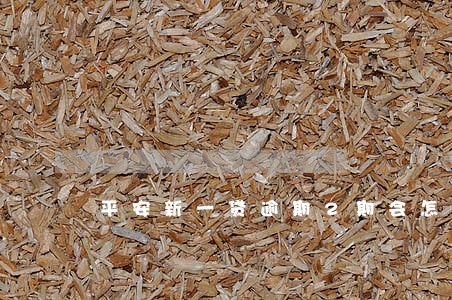 平安新一贷逾期2期会怎么处理 平安新一贷逾期2期会怎么处理