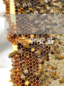 平安新一贷逾期4年费用翻倍 平安新一贷逾期4年费用翻倍