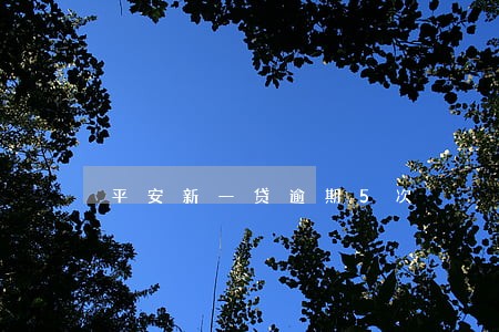 平安新一贷逾期5次 平安新一贷逾期5次