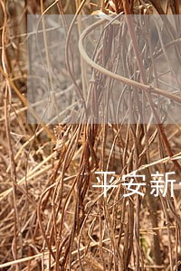 平安新一贷逾期60天怎么办 平安新一贷逾期60天怎么办