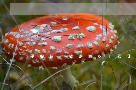 平安新一贷逾期61天了怎么办