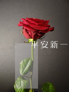 平安新一贷逾期一天会影响信用吗 平安新一贷逾期一天会影响信用吗