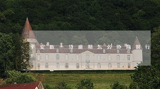 平安新一贷逾期怎么协商银行 平安新一贷逾期怎么协商银行