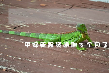 平安新易贷逾期3个月了 平安新易贷逾期3个月了