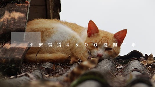 平安易贷4500逾期三年 平安易贷4500逾期三年