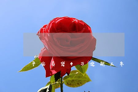 平安易贷4万逾期三年 平安易贷4万逾期三年