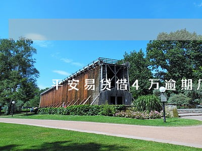 平安易贷借4万逾期几年要12万