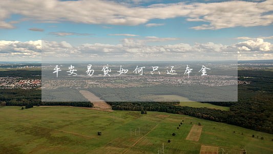 平安易贷如何只还本金 平安易贷如何只还本金