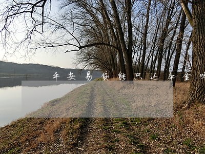 平安易贷能只还本金吗
