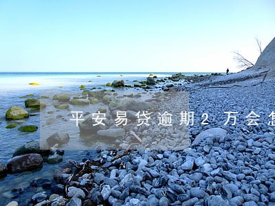 平安易贷逾期2万会怎么样