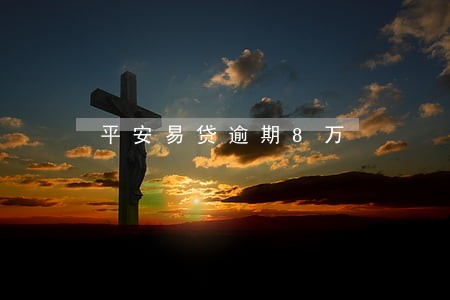 平安易贷逾期8万 平安易贷逾期8万