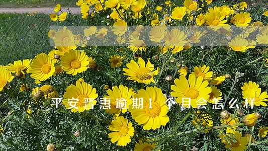 平安晋惠逾期1个月会怎么样 平安晋惠逾期1个月会怎么样