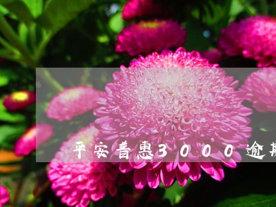 平安普惠3000逾期怎么还款 平安普惠3000逾期怎么还款