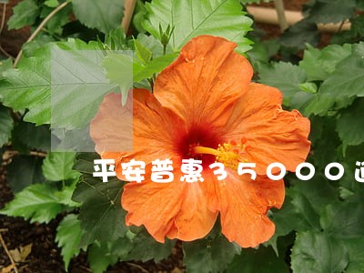平安普惠35000逾期四个月 平安普惠35000逾期四个月