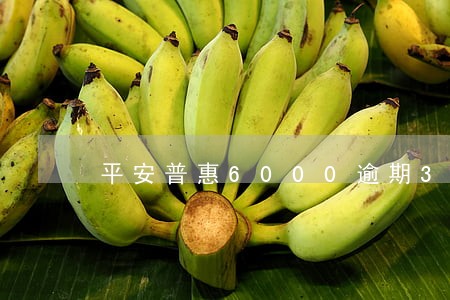 平安普惠6000逾期3年了 平安普惠6000逾期3年了