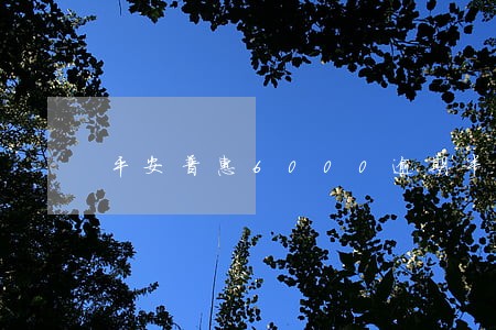 平安普惠6000逾期半年 平安普惠6000逾期半年