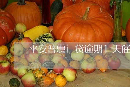 平安普惠i贷逾期1天催收 平安普惠i贷逾期1天催收