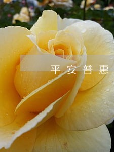 平安普惠i贷逾期三年6 平安普惠i贷逾期三年6