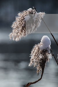 平安普惠三万逾期三年6