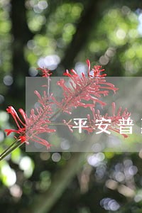 平安普惠二押逾期3天 平安普惠二押逾期3天