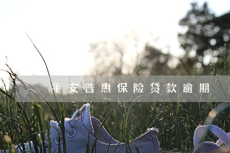平安普惠保险贷款逾期 平安普惠保险贷款逾期