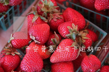 平安普惠信用卡逾期四千