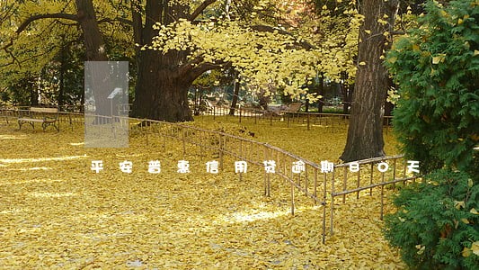 平安普惠信用贷逾期80天 平安普惠信用贷逾期80天