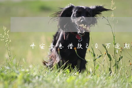 平安普惠借款20万逾期 平安普惠借款20万逾期