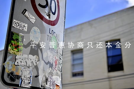 平安普惠协商只还本金分期还款 平安普惠协商只还本金分期还款