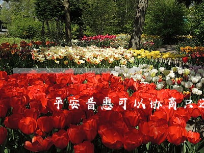 平安普惠可以协商只还本金 平安普惠可以协商只还本金