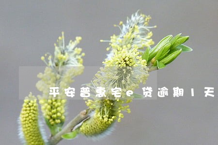 平安普惠宅e贷逾期1天