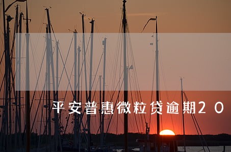 平安普惠微粒贷逾期2016年 平安普惠微粒贷逾期2016年