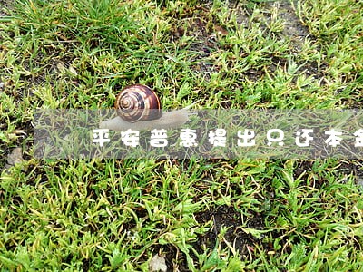 平安普惠提出只还本金真实么 平安普惠提出只还本金真实么