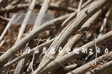 平安普惠易贷逾期260天 平安普惠易贷逾期260天