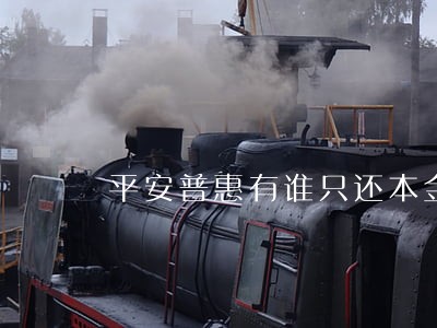 平安普惠有谁只还本金的 平安普惠有谁只还本金的
