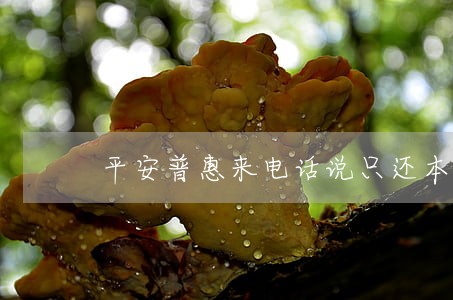平安普惠来电话说只还本金 平安普惠来电话说只还本金
