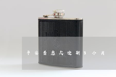 平安普惠欠逾期3个月 平安普惠欠逾期3个月