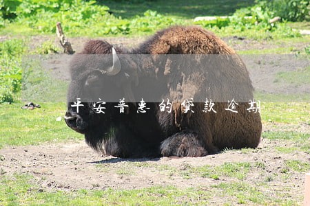 平安普惠的贷款逾期 平安普惠的贷款逾期
