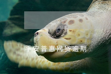 平安普惠网贷逾期 平安普惠网贷逾期