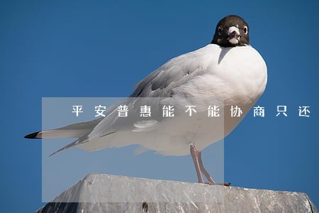 平安普惠能不能协商只还本金 平安普惠能不能协商只还本金