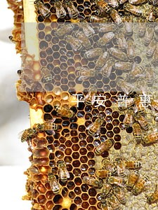 平安普惠说已提交法院起诉了 平安普惠说已提交法院起诉了