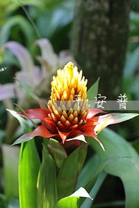 平安普惠贷款100万逾期 平安普惠贷款100万逾期