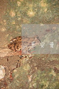 平安普惠贷款10万逾期160天 平安普惠贷款10万逾期160天