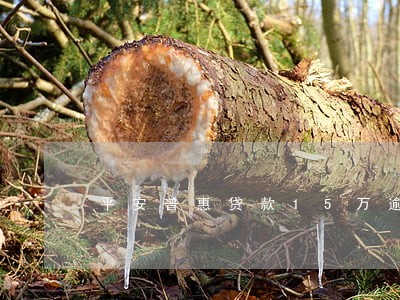 平安普惠贷款15万逾期半年了 平安普惠贷款15万逾期半年了