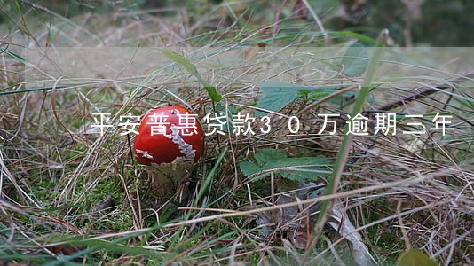 平安普惠贷款30万逾期三年 平安普惠贷款30万逾期三年