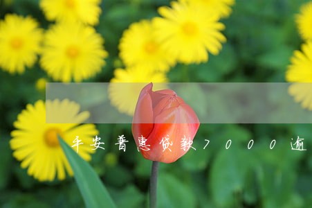 平安普惠贷款7000逾期五年 平安普惠贷款7000逾期五年