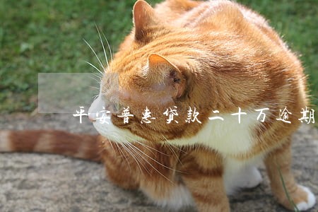 平安普惠贷款二十万逾期了 平安普惠贷款二十万逾期了